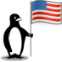 El pingüino del Glacial con la bandera de Estados Unidos.