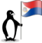 The Glacial’s penguin holding the flag of St. Maarten.